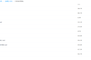 有道2020政治高考刘燊政治生活系统班视频讲课大全学习资料