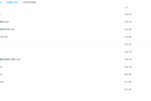 有道2020政治高考刘燊经济生活系统班讲义资料学习视频资源