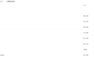 有道精品课2020政治高考刘燊暑假系统班复习资料提升快