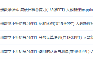 小升初复习数学课件（人教新课标版），专项训练知识点讲义练习