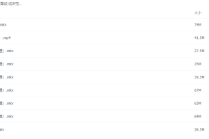 华图教师资格证面试-试讲范例班-初中英语【9视频】