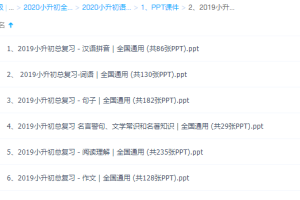2019小升初总复习语文习题课件全国通用汉语拼音阅读理解