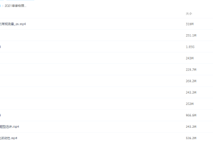 2021作业帮高三春季物理何连伟视频课程