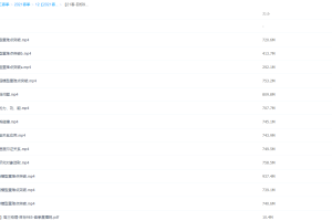 2021学而思高三章进物理春季二轮复习（下）目标985直播班