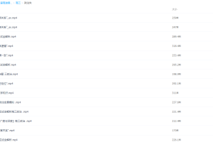 2021届高途春季班(HL绝密)-高三政治朱法垚春班课程