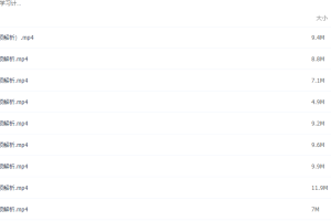 2021届高途寒假班(HL绝密)-高二谢欣然寒假30天学习计划 小视频解析