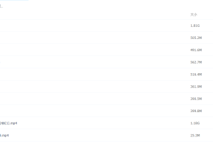 2021届高途寒假班(HL绝密)-高三物理耿佩二轮视频课