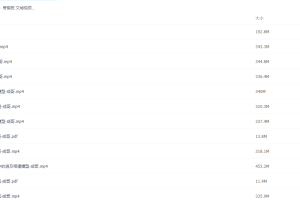 2021届高途寒假班(HL绝密)-高三物理武文成视频课