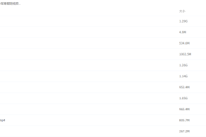 2021届高途寒假班(HL绝密)-高三马小军寒假班视频课