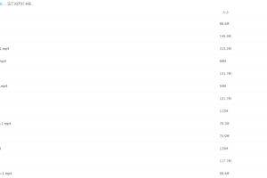 2021届高途寒假班(HL绝密)-高三双林30天打卡视频