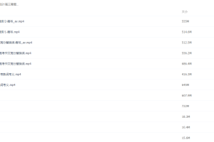 2021届高途寒假班(HL绝密)-高三英语王煜嘉二轮