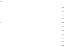 2021届高途寒假班(HL绝密)-高三王煜嘉寒假30天打卡