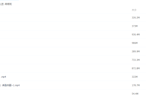 2021届高途寒假班(HL绝密)-高三赵礼显寒假班视频课程