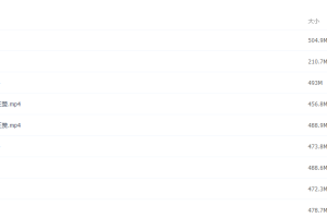 2021届高途高三王赞寒假班(HL绝密)王赞视频课程