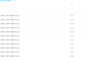 上海名师马学斌中考数学压轴题