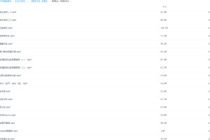 新东方初中新概念英语第一册