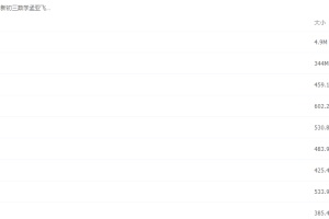有道新初三数学孟亚飞亡羊补牢【完结】