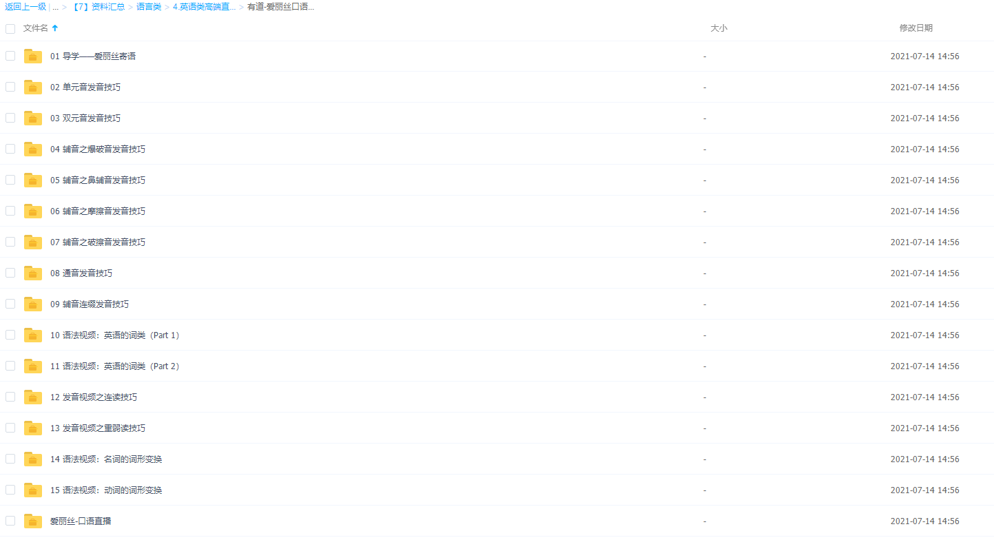 有道精品课爱丽丝口语能力全攻略插图