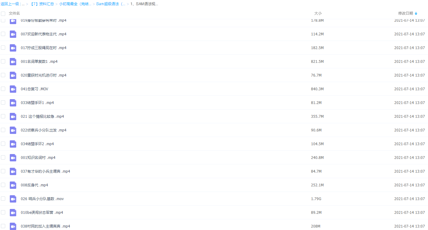 SAM语法视频完整版（42集）插图
