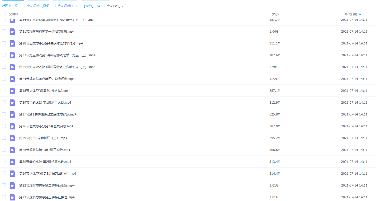 幼升小火花思维L2（4-5岁）儿童数理思维课程插图