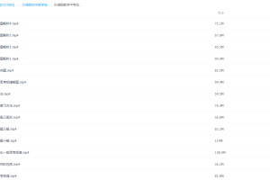 孙维刚数学中考总复习初中视频课程