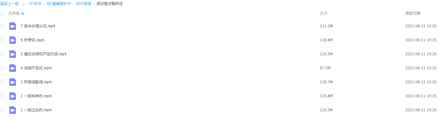 猿辅导鲁斯佳七次课学完初中英语语法重点视频课程插图