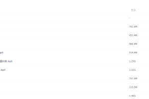 2022高中语文视频课程乘风基础能力完结