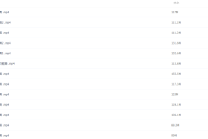 最新北京四中网校高中英语视频课堂带你走进美国