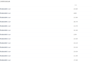 最新宋维钢英语语法速成万法归宗