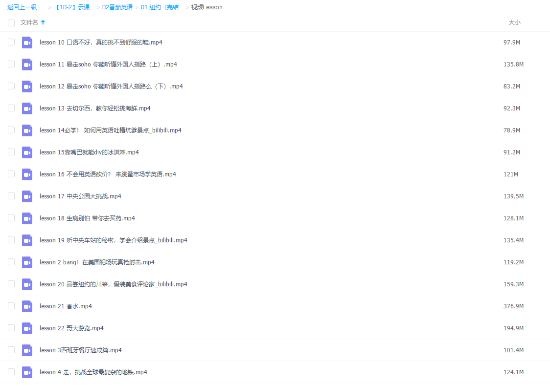 番茄英语之纽约完插图1 番茄英语之纽约完插图1