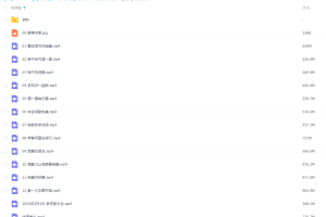 泉灵语文课2020春季幼小衔接班视频课程