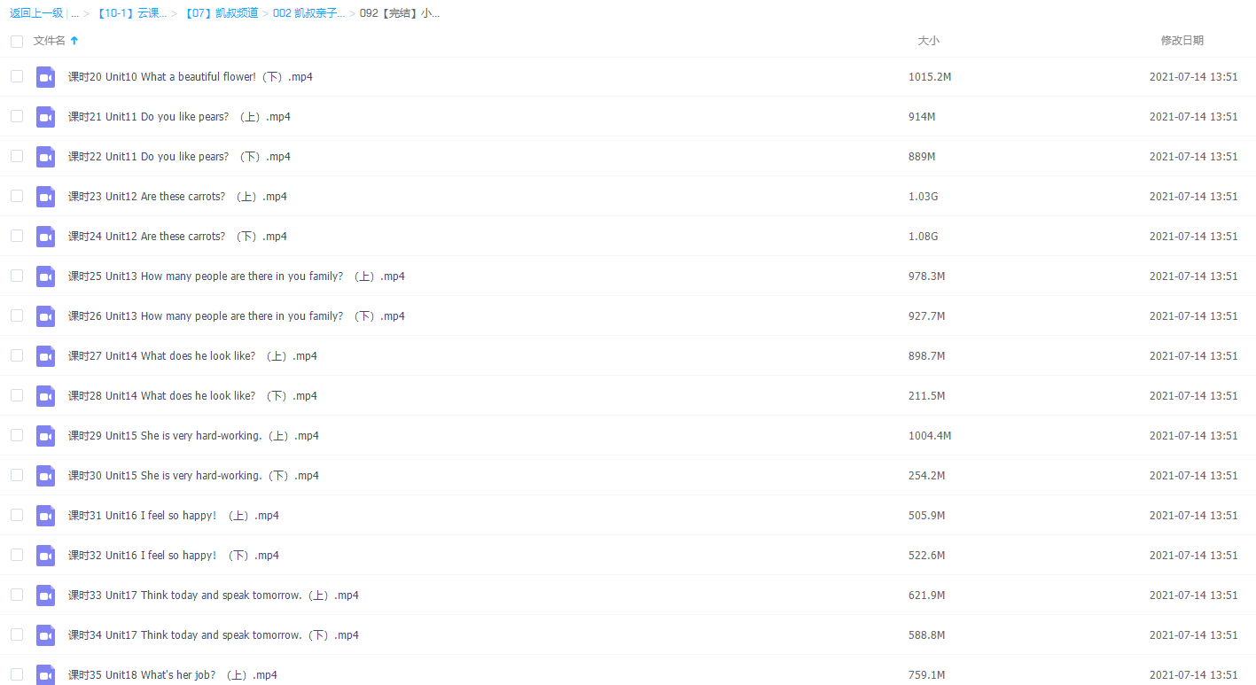 凯叔系列《小学单词,读得准,记得牢》视频资料全集插图1