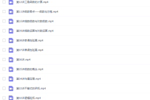 有道精品王伟高一数学2021年秋季班视频课程