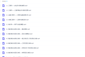 孙维刚初中数学初二视频课程24讲