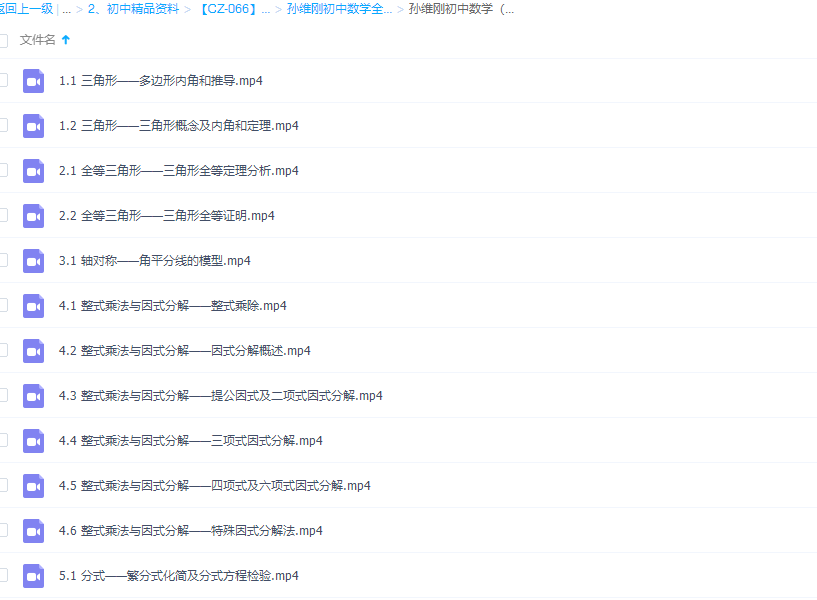 孙维刚初中数学初二视频课程24讲插图