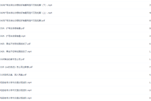 小学作文毛芸“花生酥”老师作文提分班完结