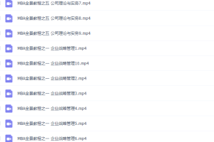 MBA全景教程全集（十套讲座）