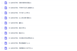 学而思微课堂《好奇实验室》