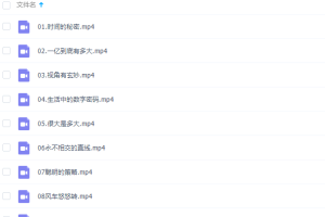 芝麻学社非常数学课10集