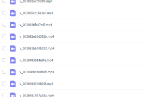 纳米盒幼升小全套资料之随文识字视频课程
