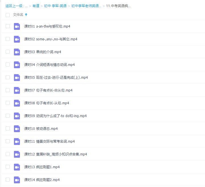 初中英语有道精品李军Viva中考英语疯狂刷题班视频课程完结插图 初中英语有道精品李军Viva中考英语疯狂刷题班视频课程完结插图