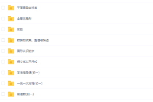 北京四中网校智慧课堂初一数学全套视频课程包含讲义