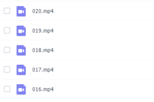 精华在线申怡高考高频考点语文全面提升语文能力视频课程