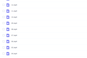 猿辅导宁致远2022届高考物理目标A+班二轮复习寒假班视频课程完结