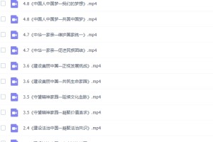 初三政治同步提高版课程（人教版上册）