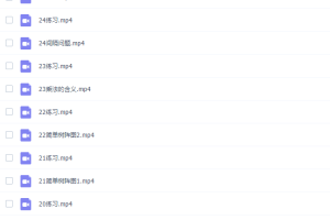 少年得到小学数学视频课程（培优课level2课程）