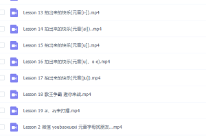 好芳法课堂小学英语视频教程（元音辅音音标）