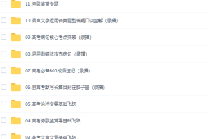 2020乘风语文高考语文一轮复习（解决高考语文难题）