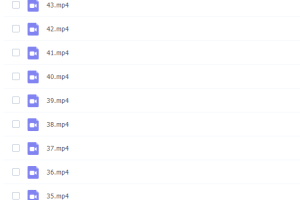 Chinaelt系列Phonics Spelling进阶自然拼读6~7岁（少儿拼读英语）