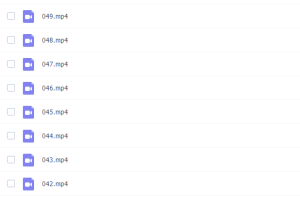 Chinaelt系列Phonics Spelling进阶自然拼读5~6岁课程(英语自然拼读法)